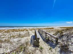 Beachcomber