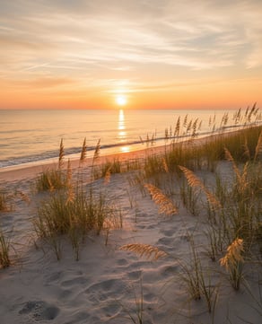 Morning Light