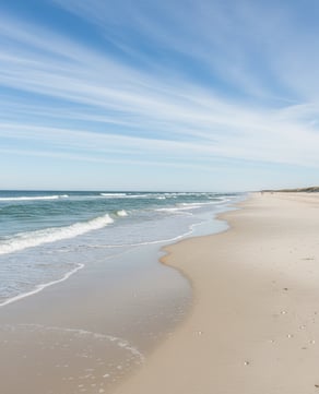 Uncrowded Shores